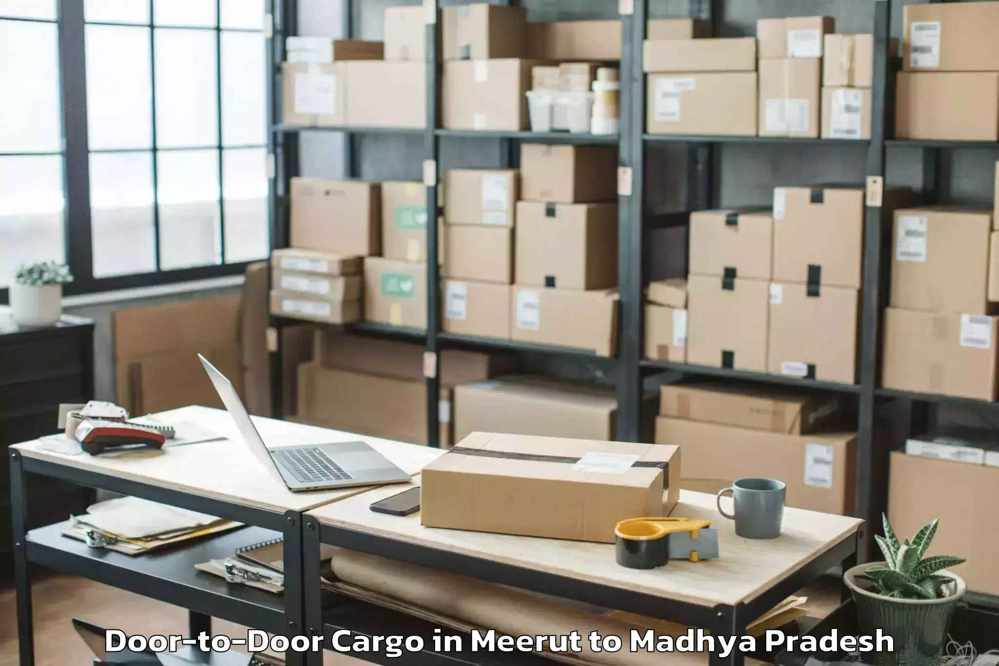 Expert Meerut to Prithvipur Door To Door Cargo